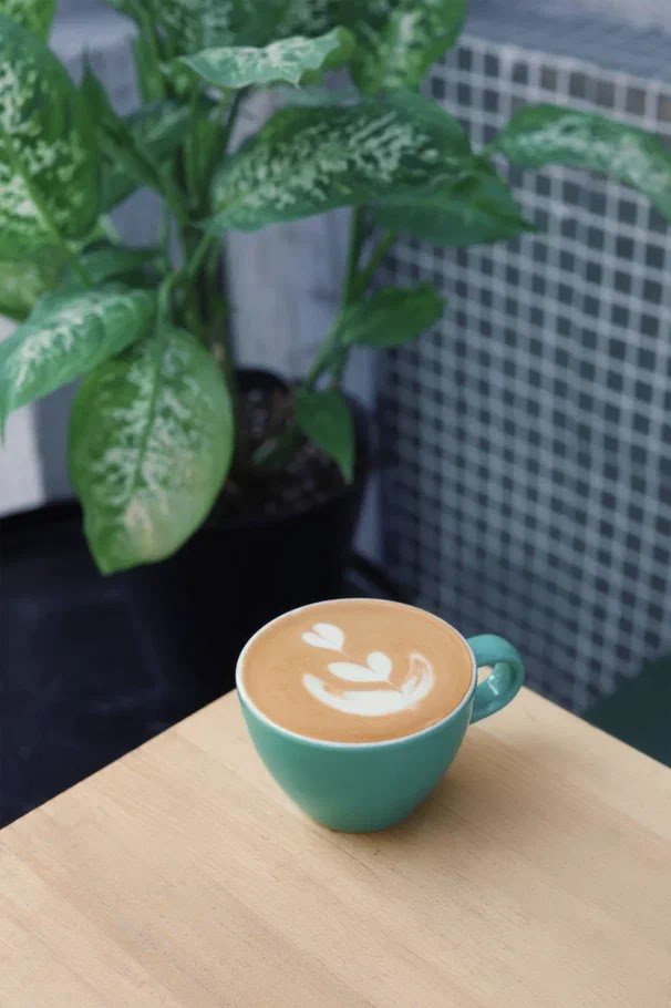 Coffee at Senica, specialty coffee shop in Belgrade