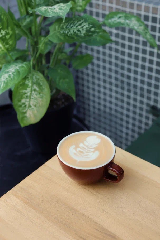 Coffee at Senica, specialty coffee shop in Belgrade
