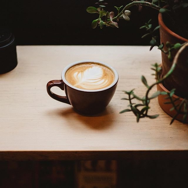 Coffee at Micro Espresso - Vieux Port, specialty coffee shop in Montreal