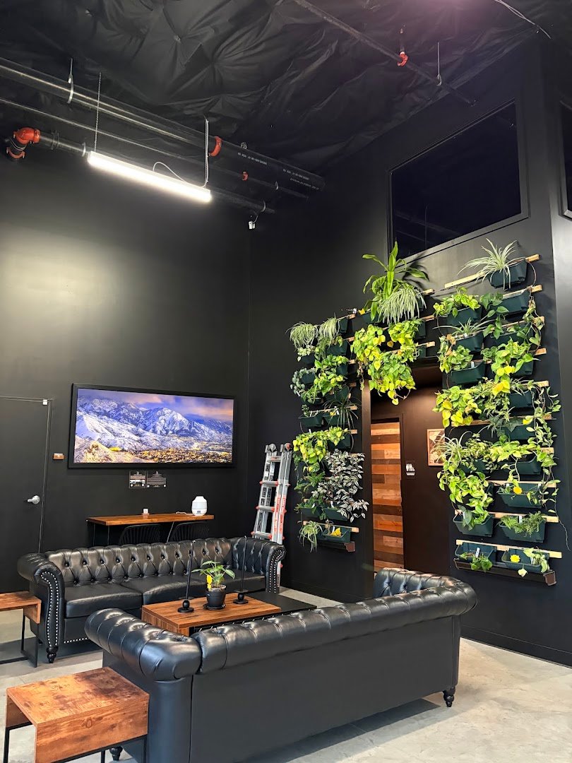 Interior of 801 Coffee Roasters, specialty coffee shop in Salt Lake City