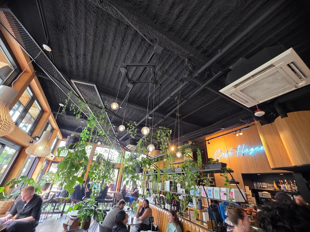 Café Hagen Modern European Cafe specialty coffee shop in Seattle - photo 3