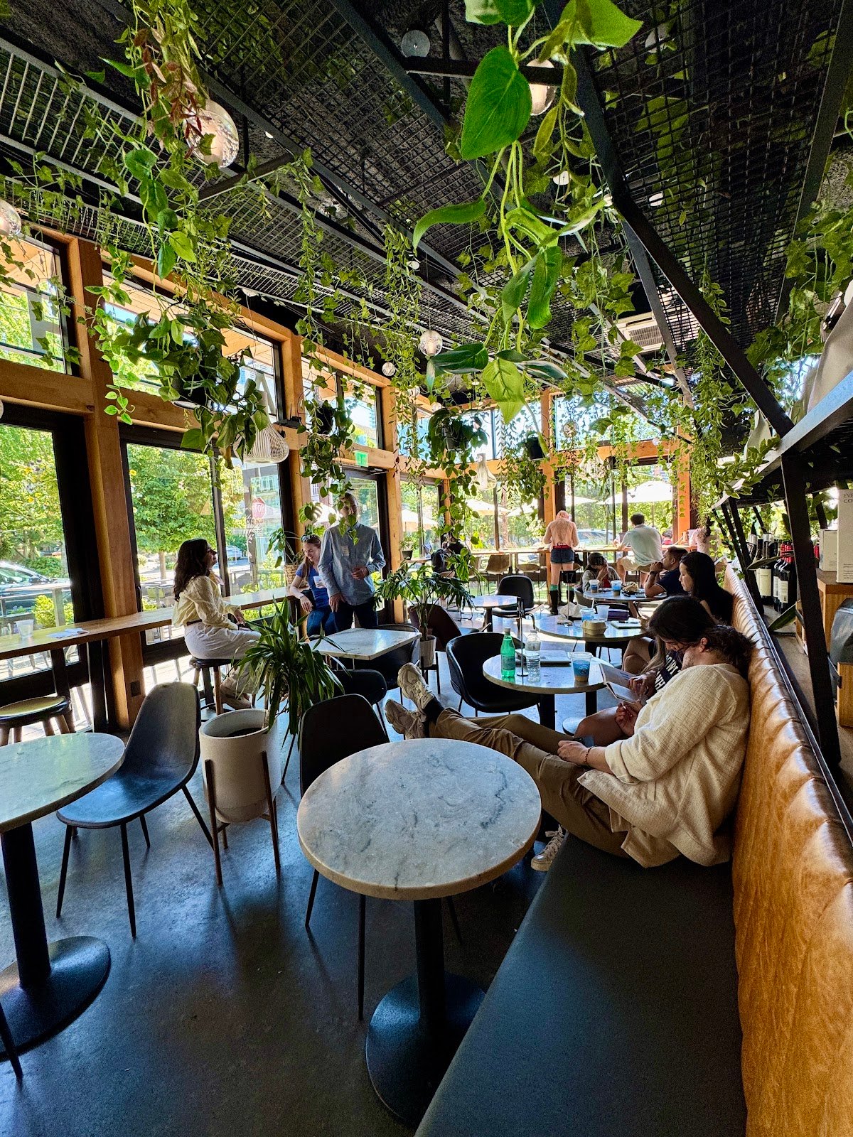 Café Hagen Modern European Cafe specialty coffee shop in Seattle - photo 5