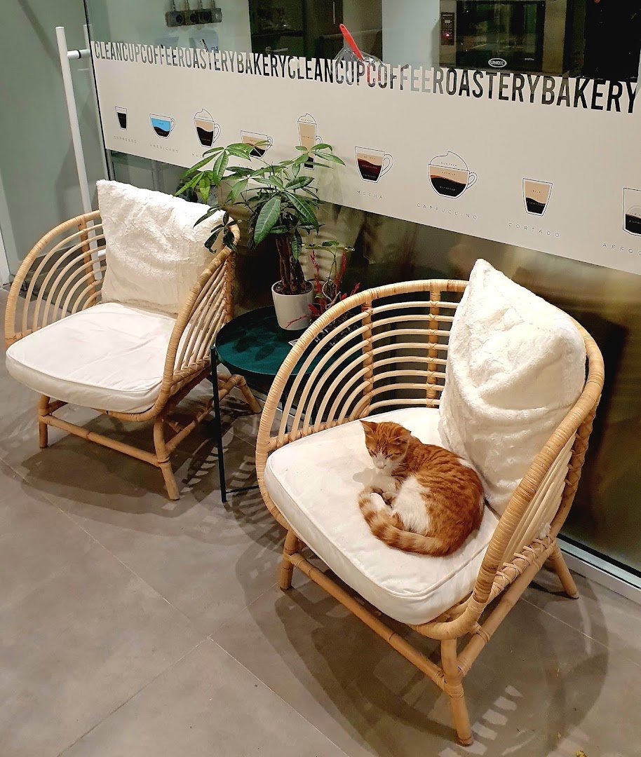 Clean Cup Coffee specialty coffee shop in Istanbul - photo 4