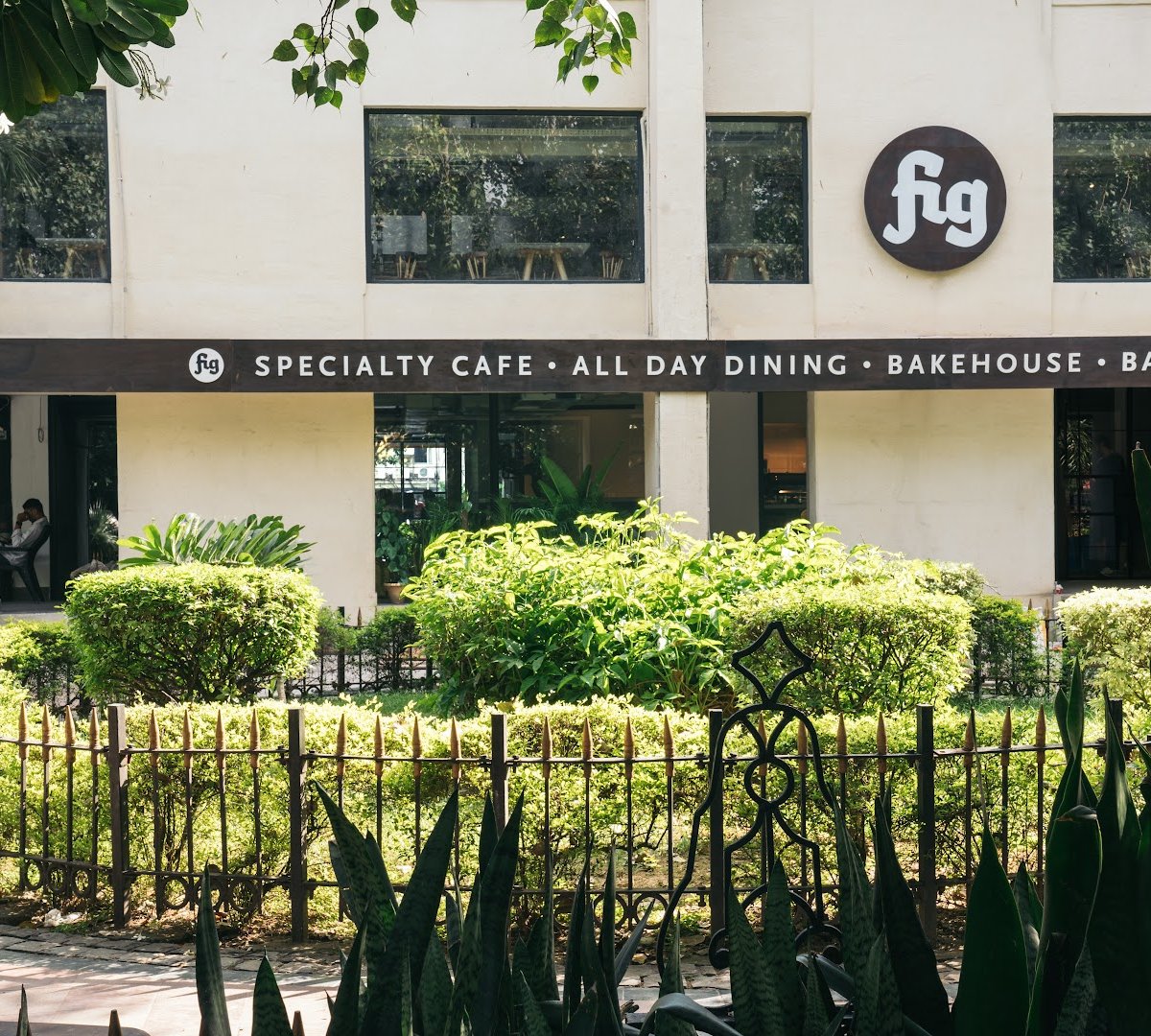 Fig at Malcha specialty coffee shop in Delhi - photo 3