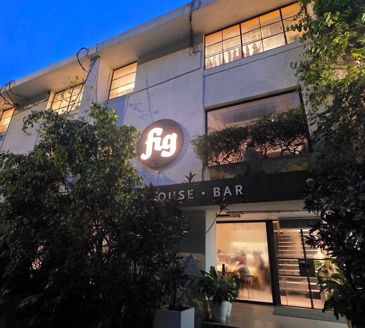 Fig at Malcha specialty coffee shop in Delhi - photo 9