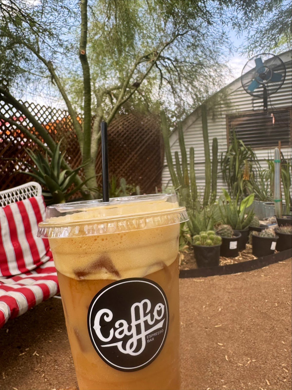 Caffio Espresso Bar specialty coffee shop in Phoenix - photo 4