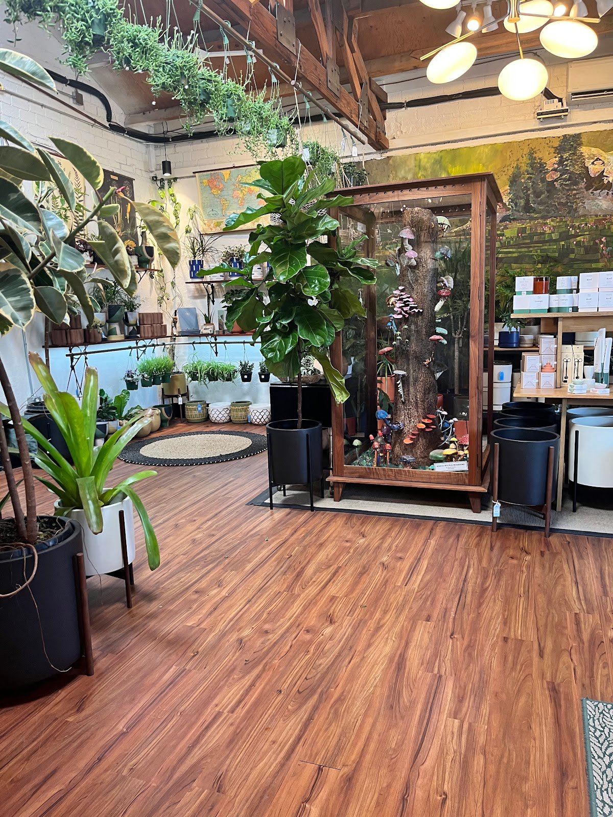 Caffio Espresso Bar specialty coffee shop in Phoenix - photo 7