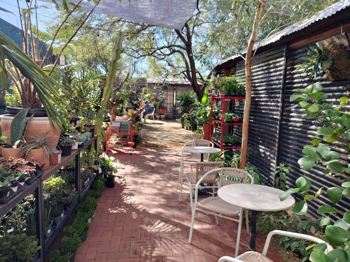 Caffio Espresso Bar specialty coffee shop in Phoenix - photo 8