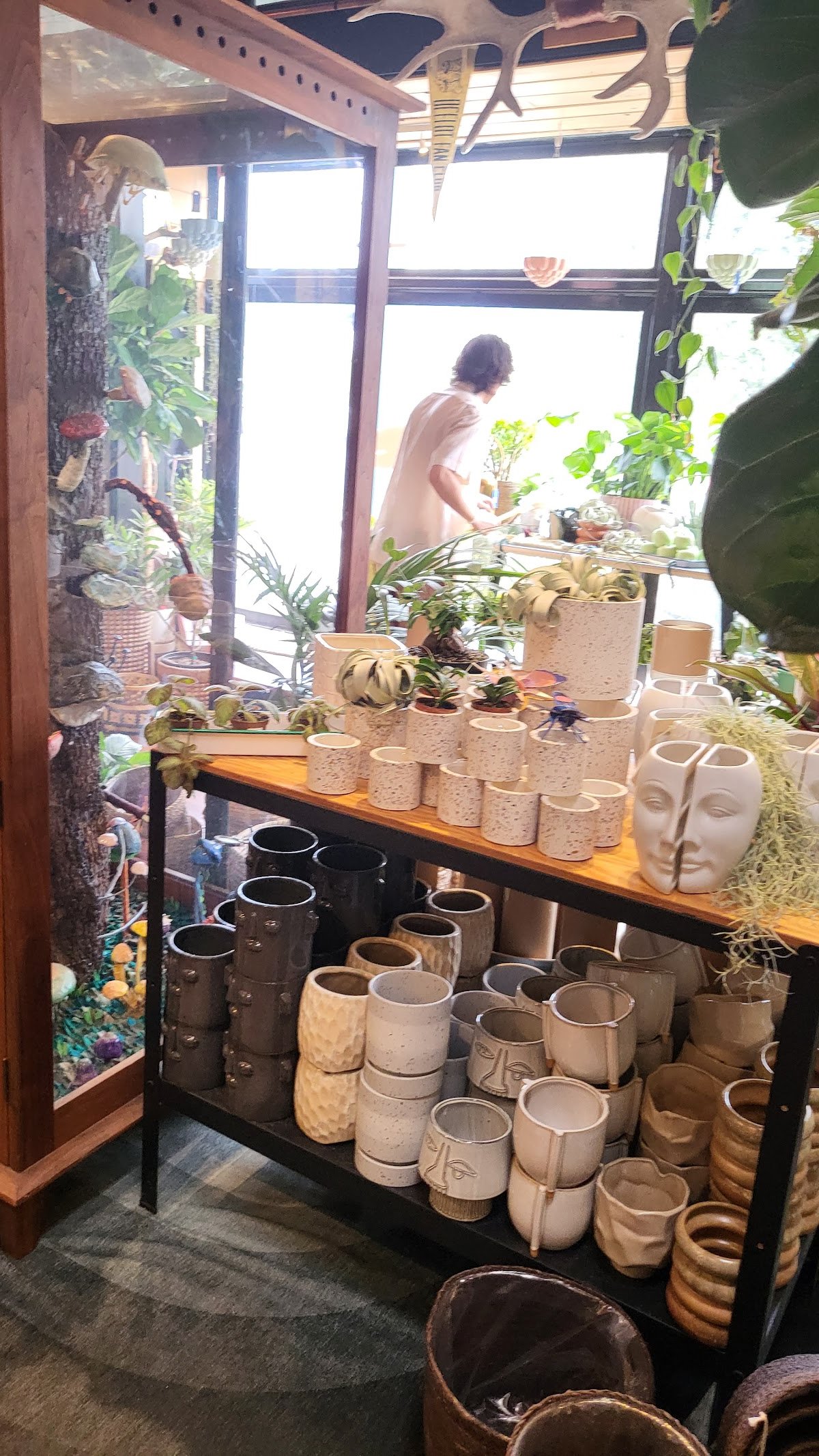 Caffio Espresso Bar specialty coffee shop in Phoenix - photo 10