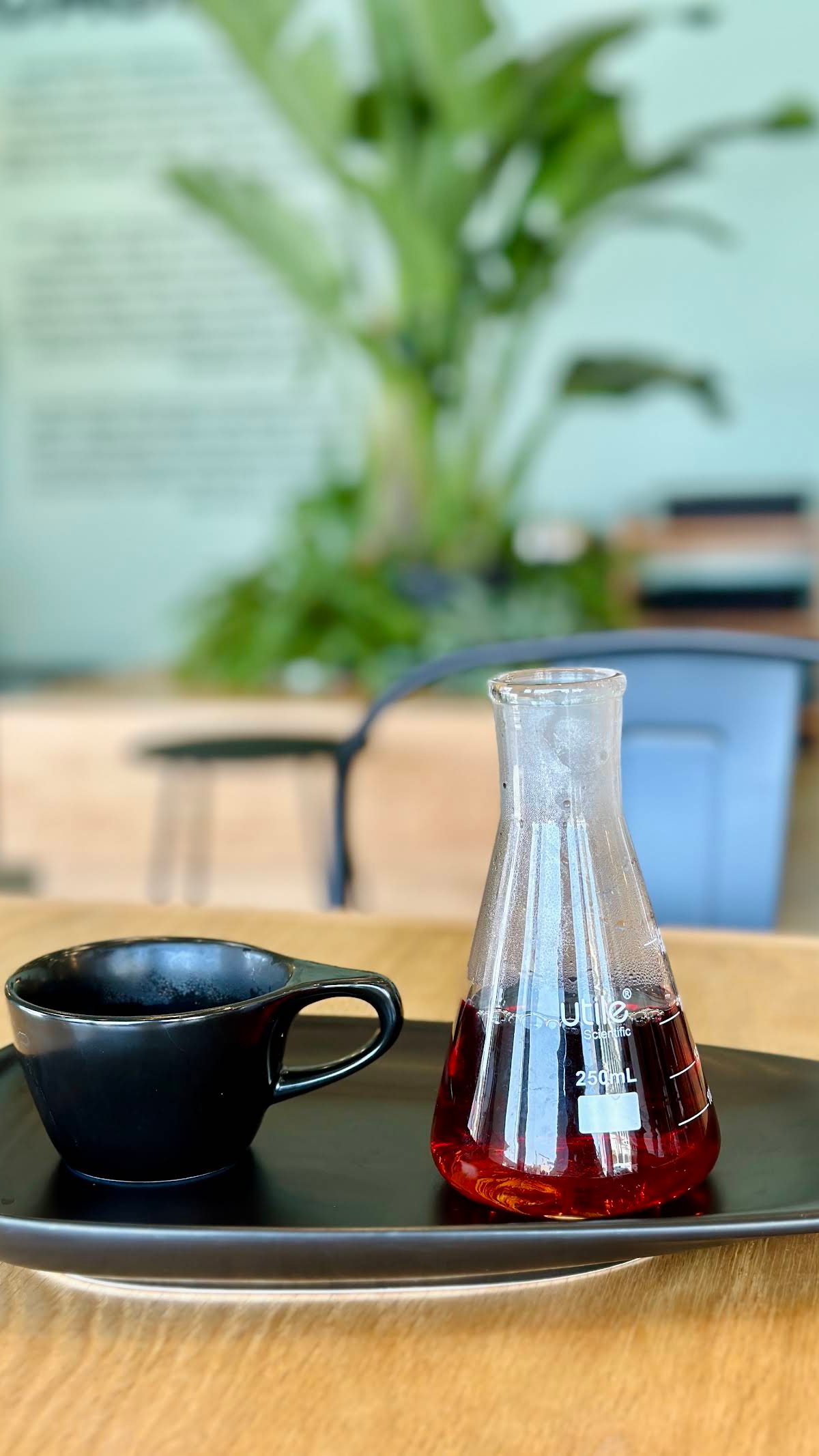 The Boy & The Bear - Sherman Oaks specialty coffee shop in Los Angeles - photo 11