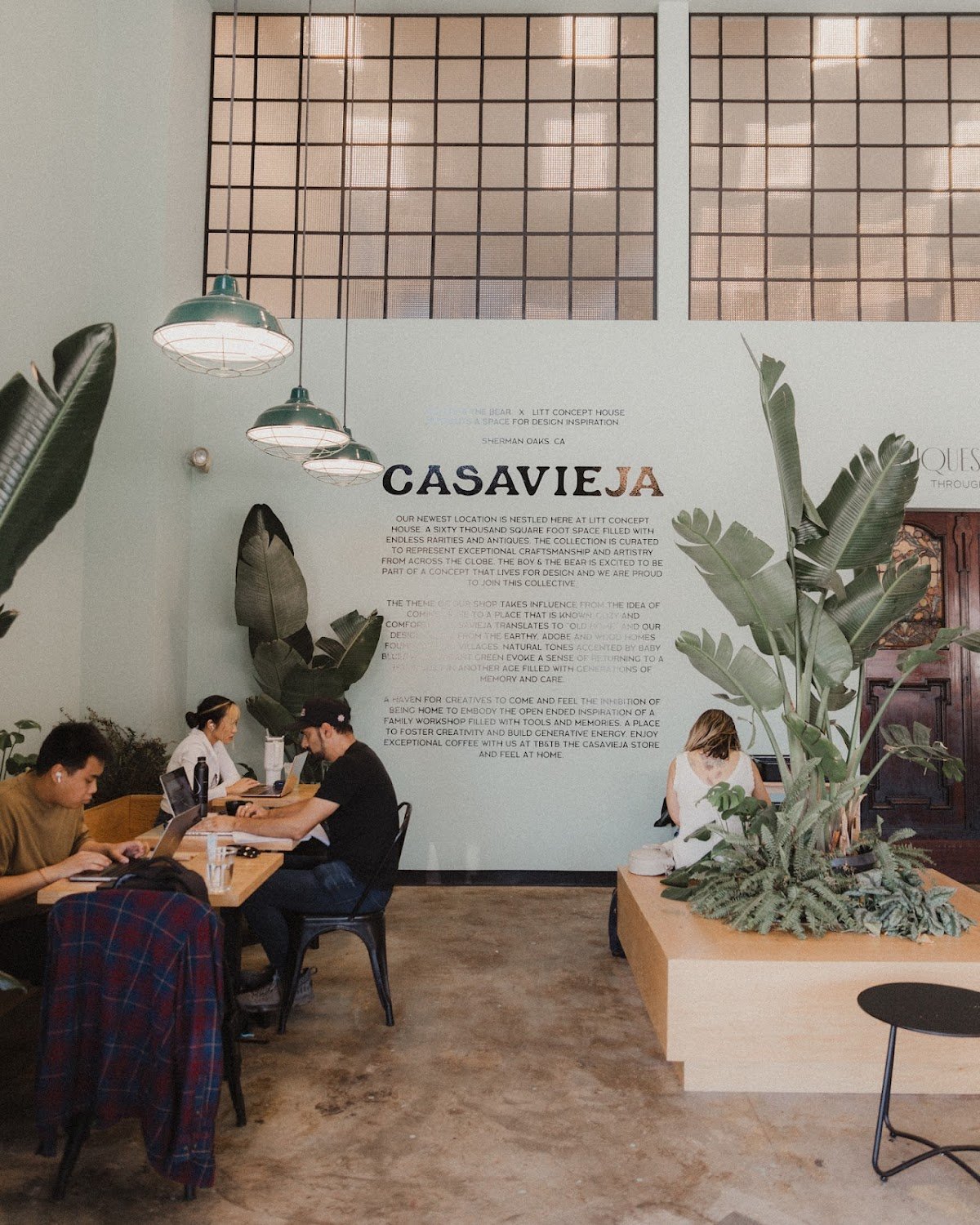 The Boy & The Bear - Sherman Oaks specialty coffee shop in Los Angeles - photo 3