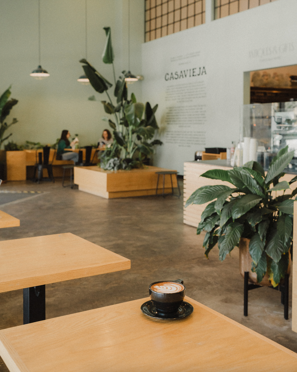 The Boy & The Bear - Sherman Oaks specialty coffee shop in Los Angeles - photo 5