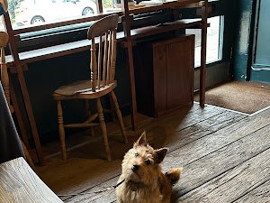 1930 Coffee Co London specialty coffee shop in London - photo 8