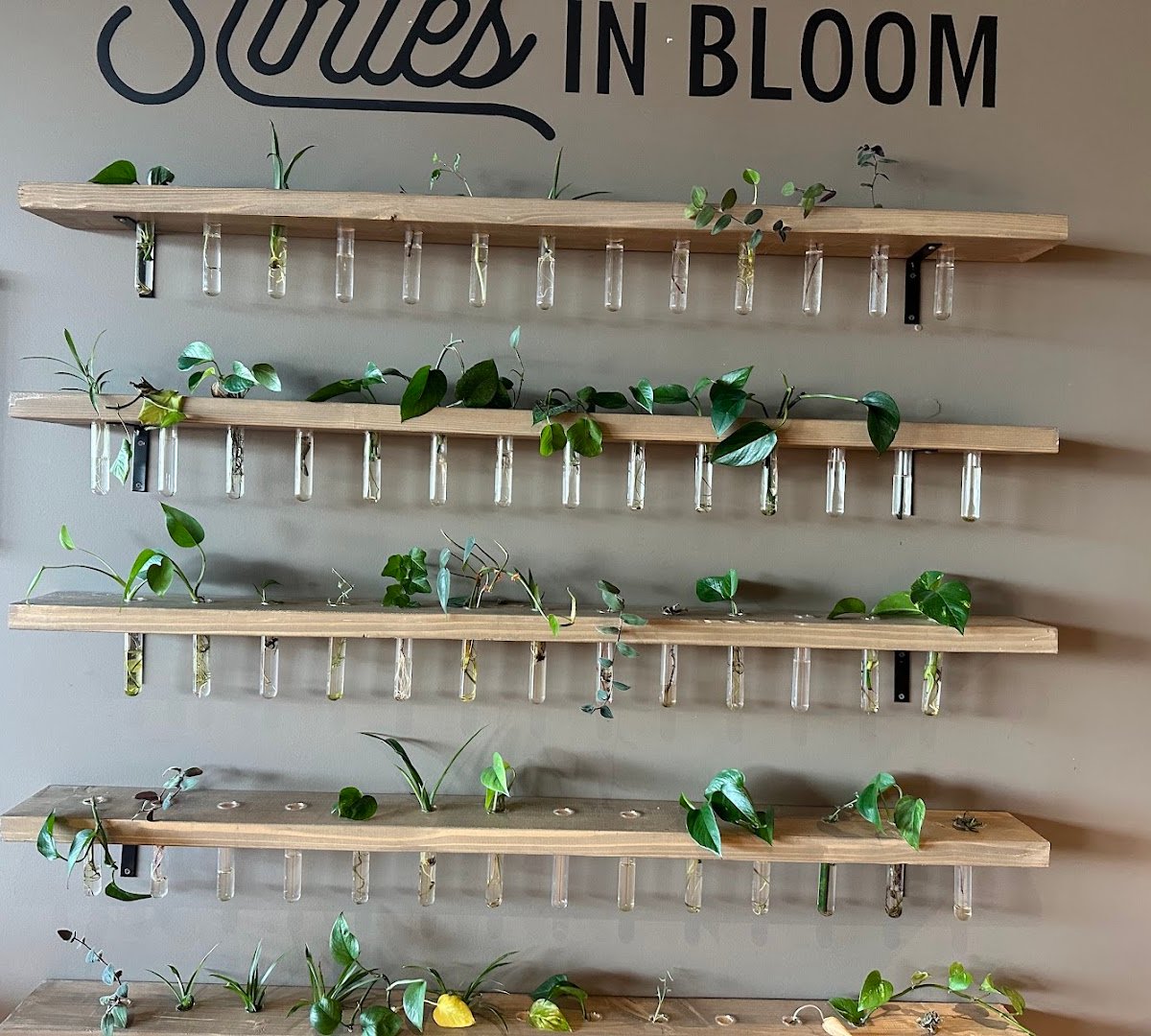 Interior of Stories Coffee Company, specialty coffee shop in Omaha