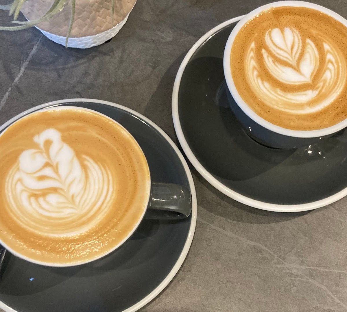 Coffee at Dutch Colony Coffee Co., specialty coffee shop in Singapore