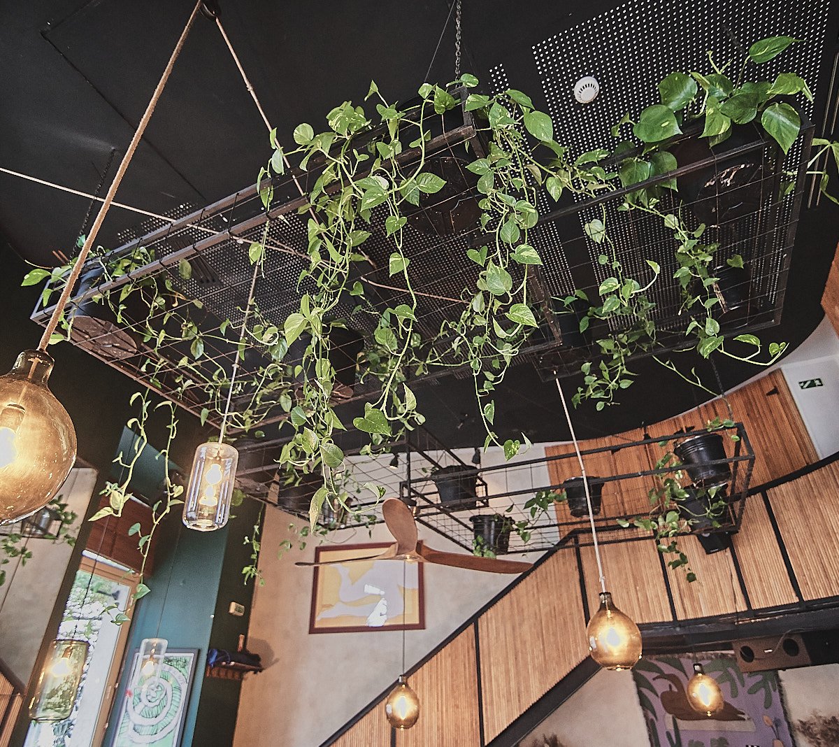 Interior of Café Janis, specialty coffee shop in Lisbon