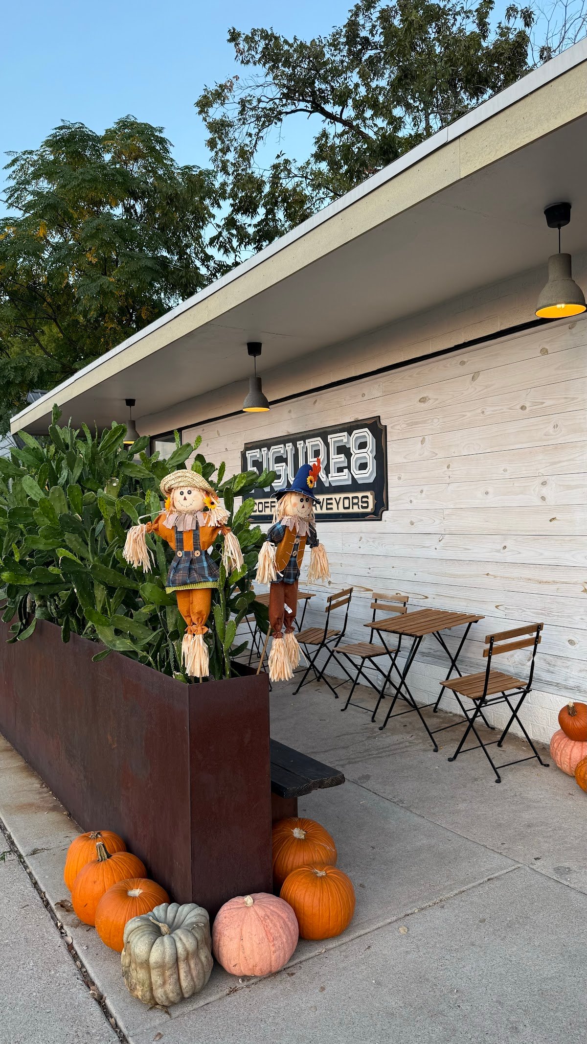 Figure 8 Coffee Purveyors Cafe & Roastery specialty coffee shop in Austin - photo 9