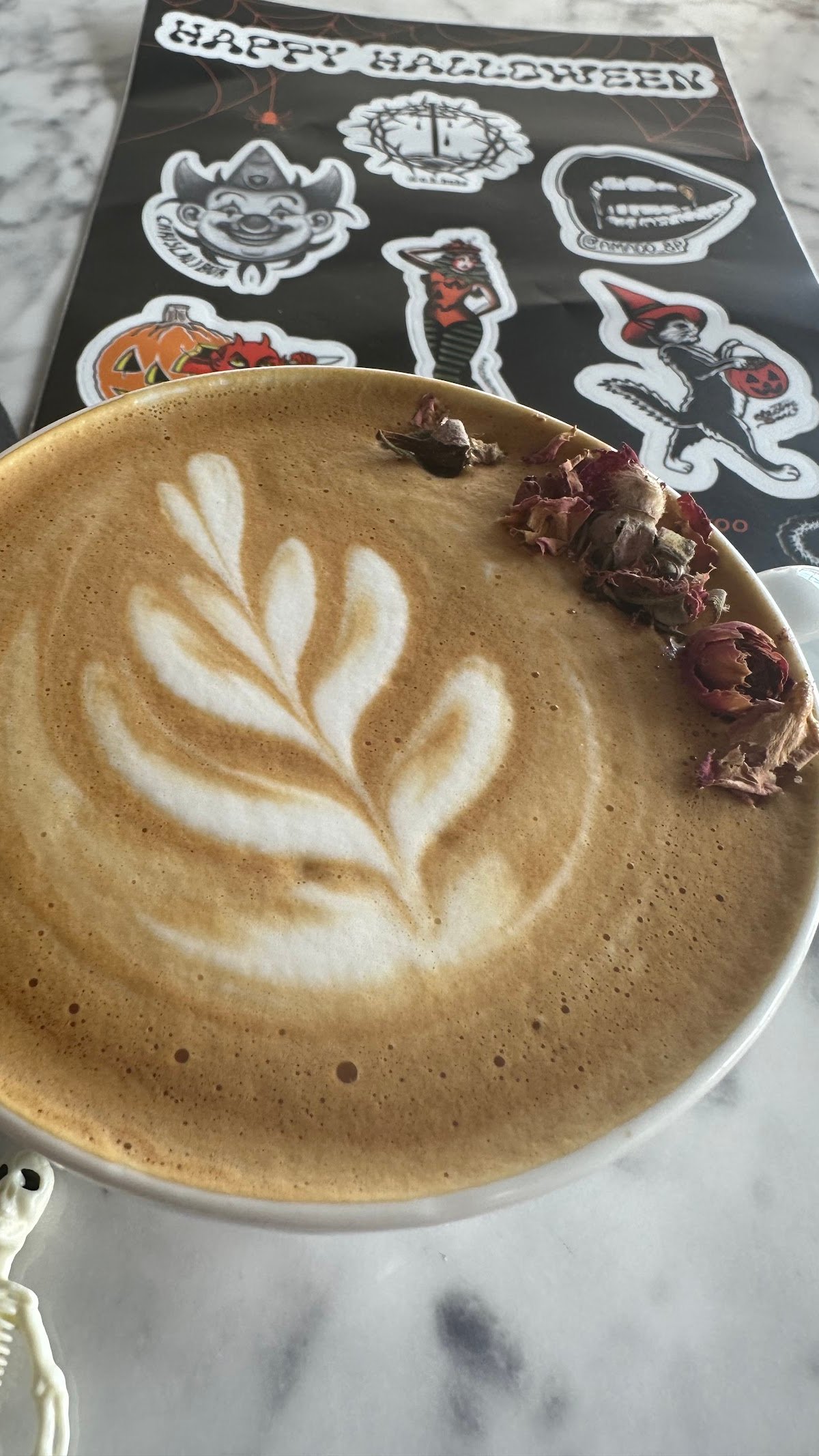 White Rose Coffee specialty coffee shop in Miami - photo 7