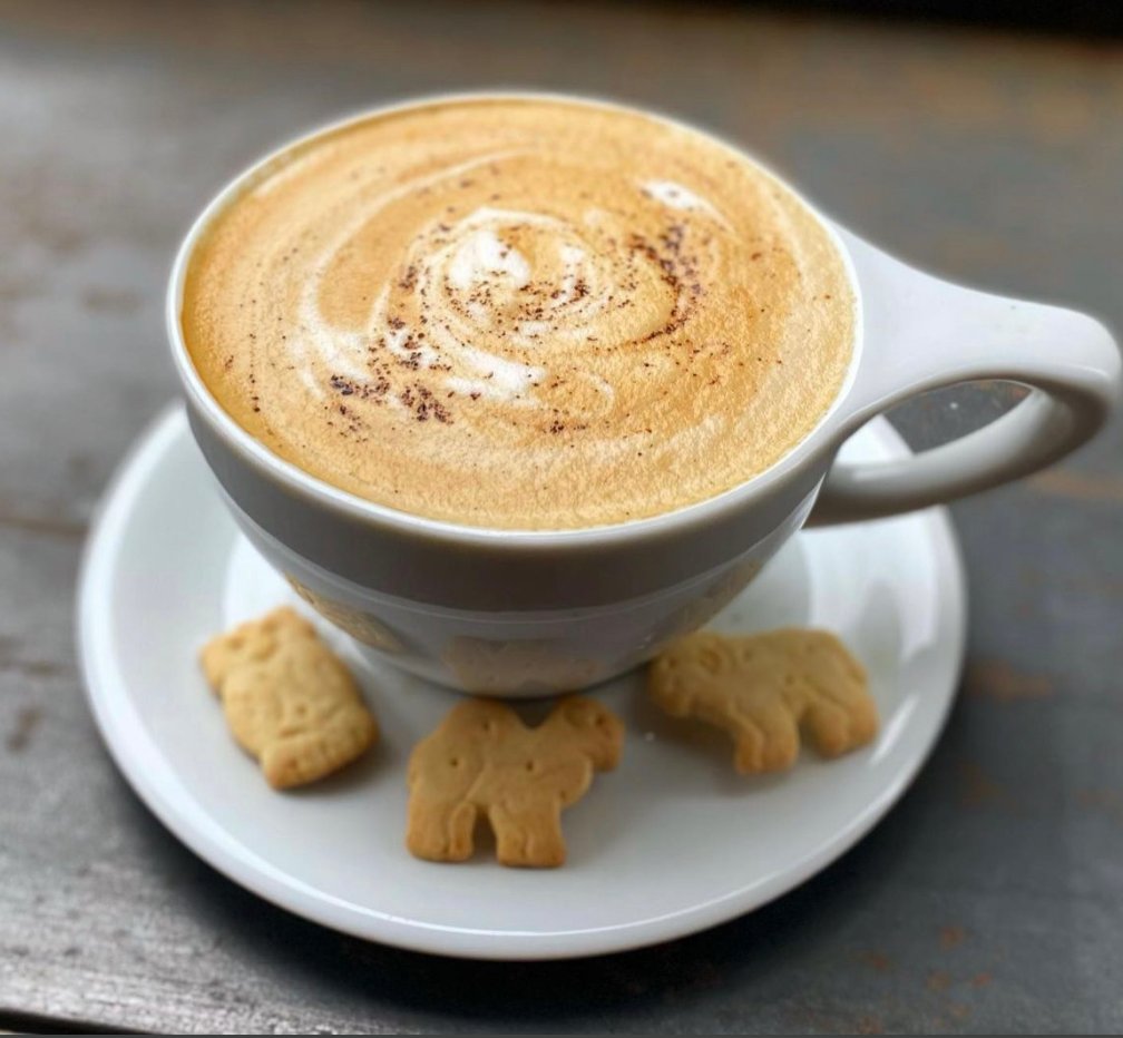 Halcyon specialty coffee shop in Austin - photo 3