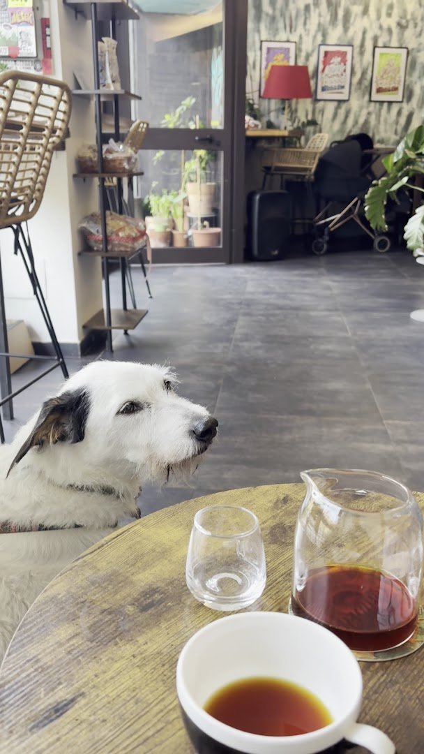Interior of Origine, specialty coffee shop in Rome