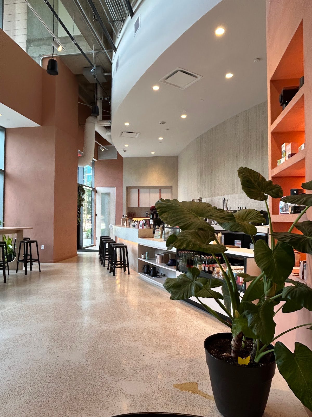 Tenfold Coffee Company specialty coffee shop in Houston - photo 4