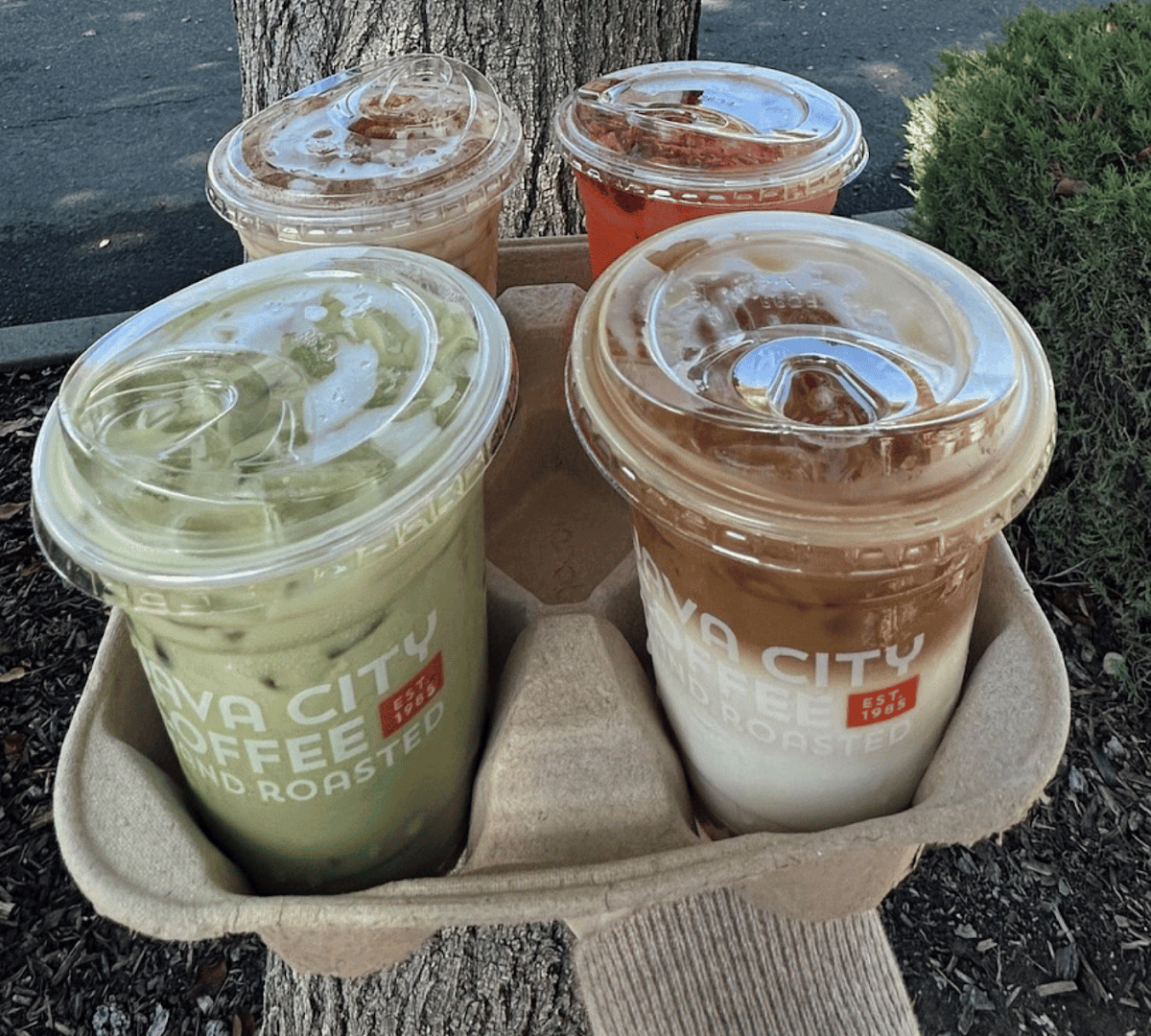 Coffee at Java City, specialty coffee shop in Sacramento