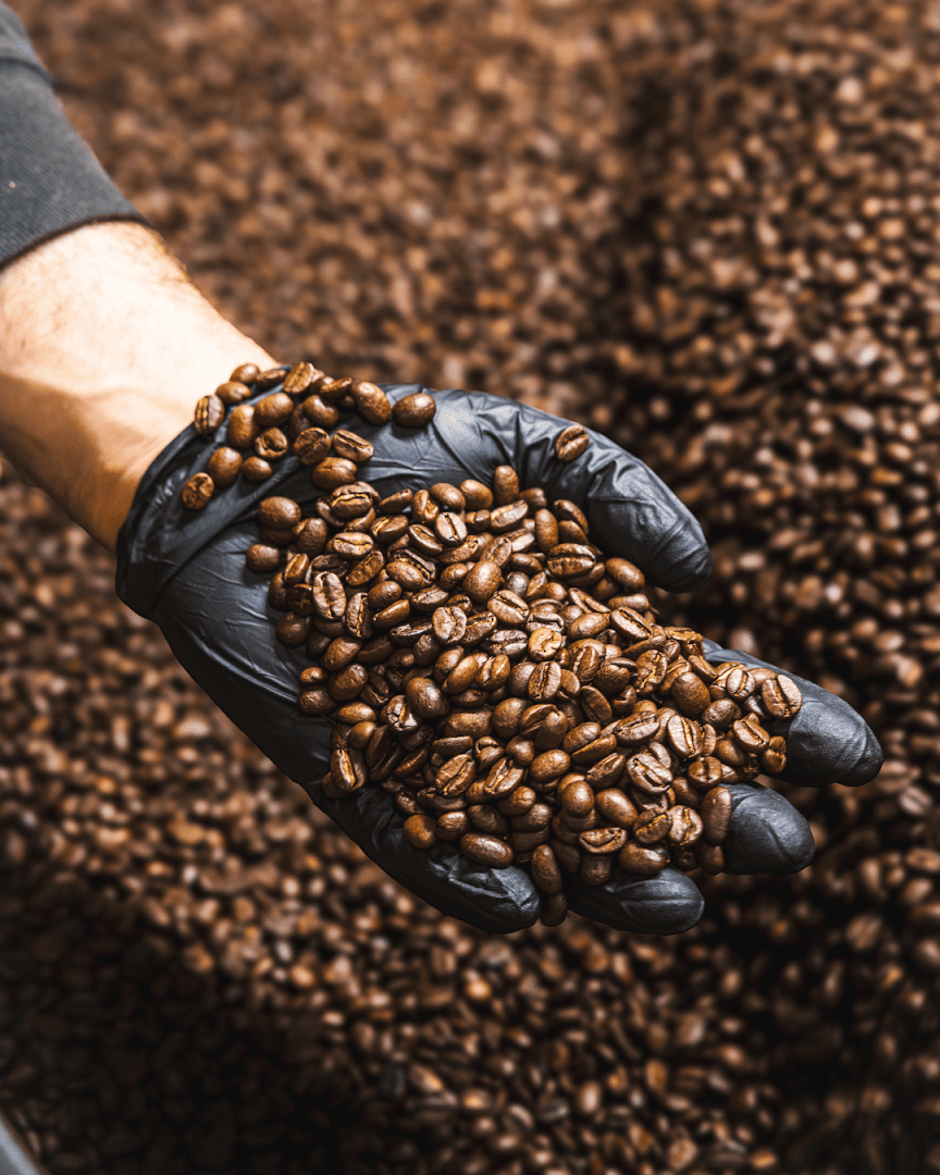 Java City specialty coffee shop in Sacramento - photo 9