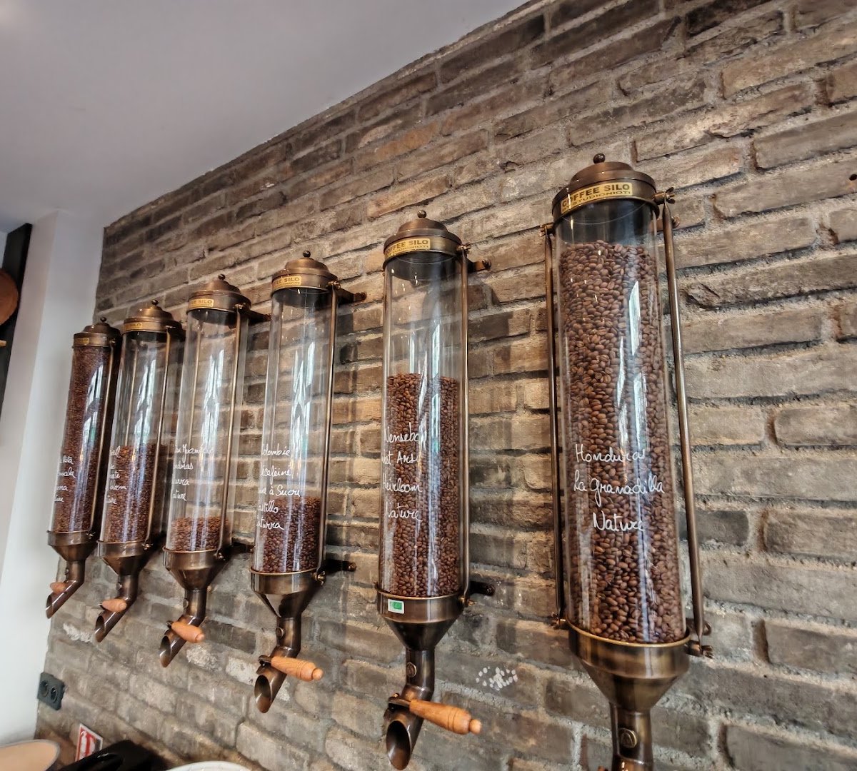 Gaia Torréfacteur specialty coffee shop in Paris - photo 3