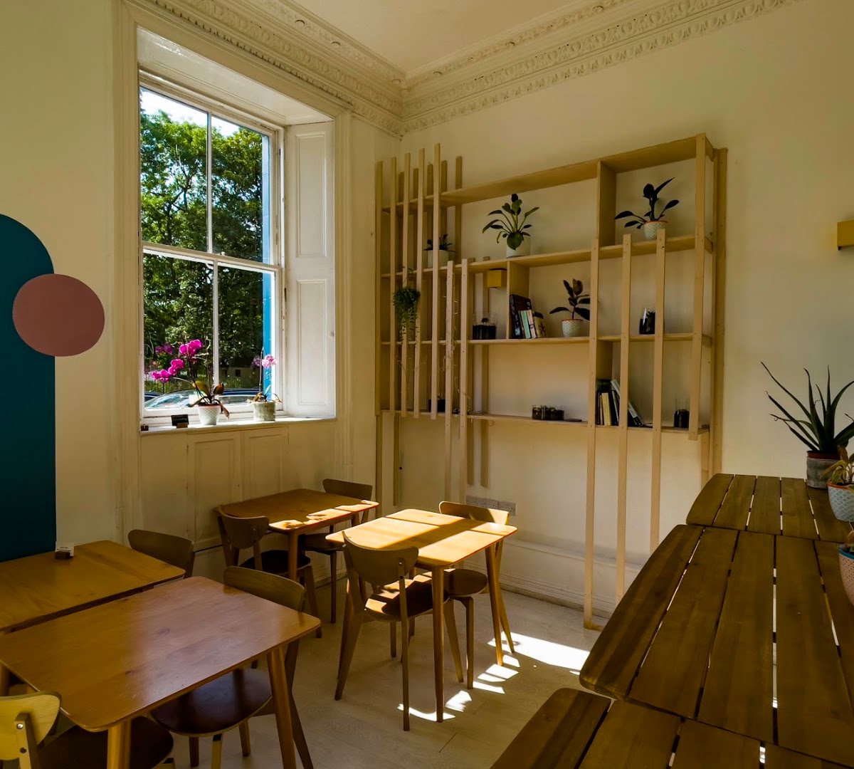 Interior of Lady and The Bear, specialty coffee shop in Edinburgh