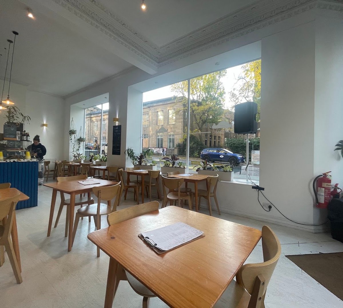 Interior of Lady and The Bear, specialty coffee shop in Edinburgh