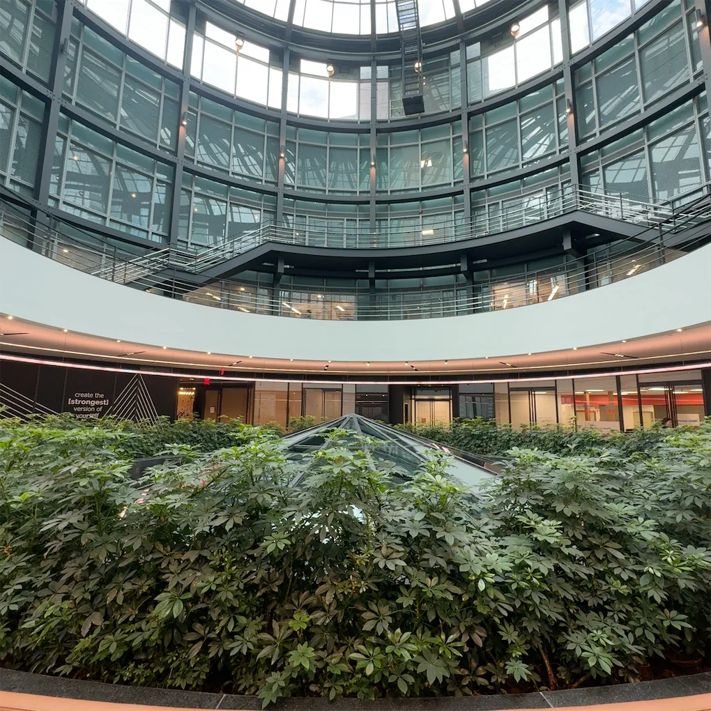 Birch Coffee specialty coffee shop in New York - photo 3