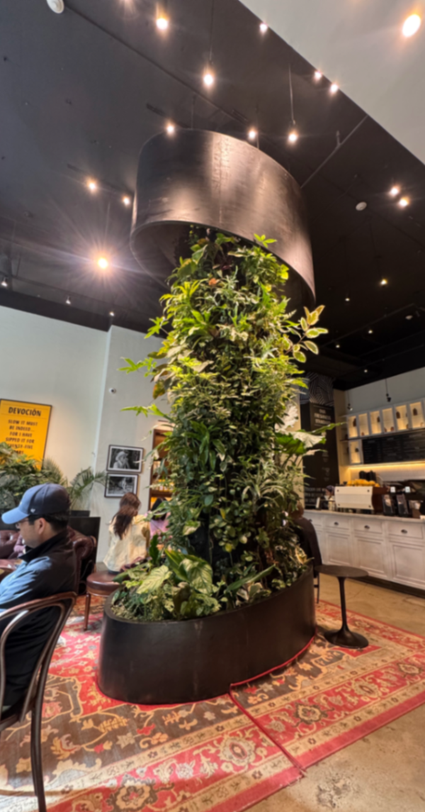 User review photo 1 of Devoción Midtown